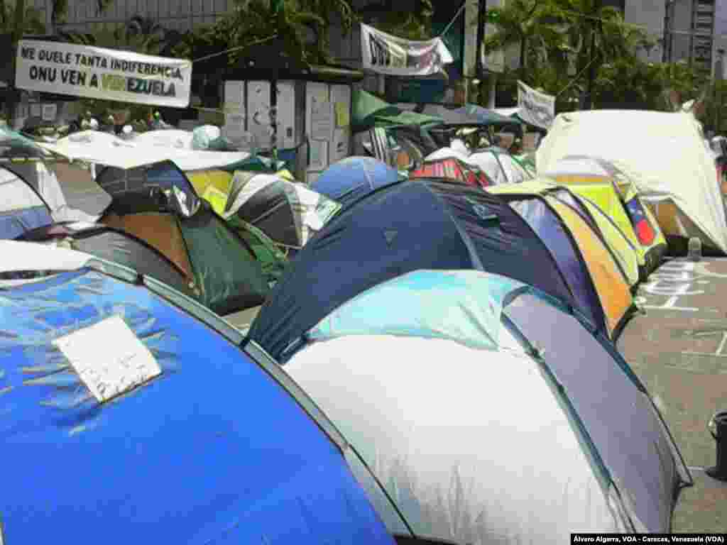 Miles de estudiantes decidieron acampar frente a la sede de la OEA y la ONU, en Caracas, como medida de presión para que estas organizaciones envíen grupos de observadores a Venezuela.