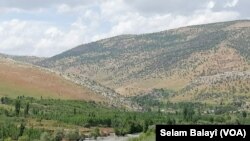 Herêma Berwarî Bala
