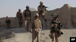 지난 2009년 8월 아프가니스탄 주둔 미군이 아프간 군인들과 함께 탈레반이 장악했던 다하네 마을을 수색하고 있다. (자료사진)