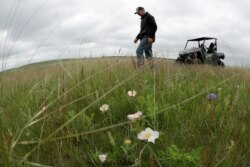 FILE - Jerry Doan walks through grasslands next to a wetland he restored on his land near Sterling, N.D., June 21, 2019.