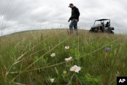 FILE - Jerry Doan walks through grasslands next to a wetland he restored on his land near Sterling, N.D., June 21, 2019.