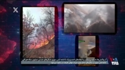 ادامه آتش‌سوزی در جنگل‌های هیرکانی؛ موزه تاریخ طبیعی جهان در سکوت دود می‌شود
