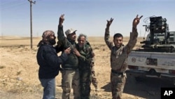 Libyan rebels celebrate after hitting a target outside Brega, Libya, April 5, 2011