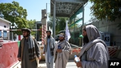 Pejuang Taliban berjaga-jaga di pintu masuk area zona hijau di Kabul, 16 Agustus 2021. (Wakil Kohsar / AFP)