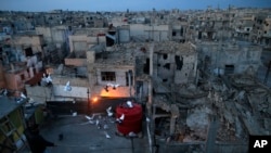 A pigeon keeper watches his pigeons fly from the roof of is home in the war-damaged Bab Dreib neighborhood where Sumaya Bairuty lives the old city, in Homs, Syria.