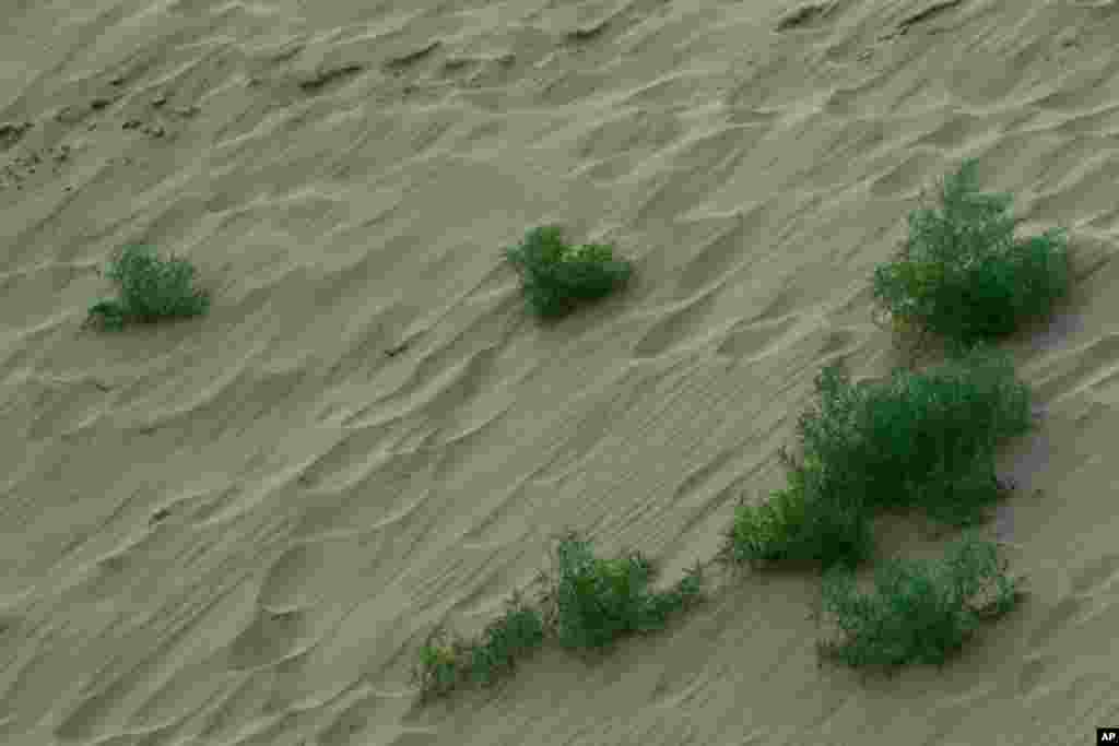 沙漠化是中國內蒙古科爾沁地區非常嚴重的問題