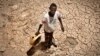 아프리카 소말리랜드 가뭄 심각...가축 80% 폐사