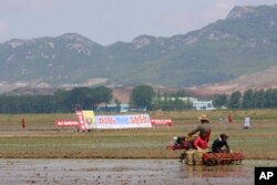 지난 2020년 5월 북한 남포 청산리 협동농장에서 농부들이 모내기를 하고 있다.