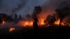 انڈونیشیا: جنگلات میں آگ لگانے والے کو گولی مارنے کا حکم