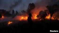 A firefighter tries to extinguish a fire in Ogan Ilir regency, South Sumatra, Indonesia, Aug. 4, 2017. Antara Foto/Nova Wahyudi/ via Reuters 