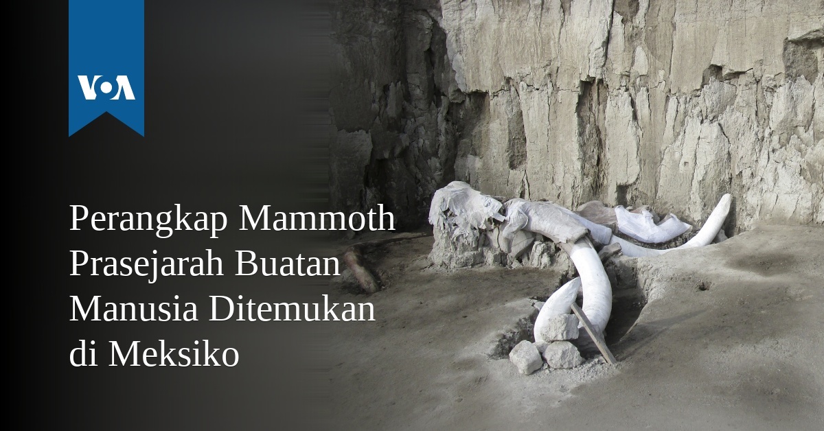 Perangkap Mammoth Prasejarah Buatan Manusia Ditemukan Di Meksiko