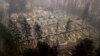 California Taps War-Zone DNA Specialists After Wildfire