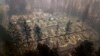 California Yangınında 600'den Fazla Kişi Hala Kayıp