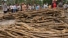 FILE - Cambodian villagers are pictured next to piles of timber in Koh Kong province, 300 kilometers southwest of Phnom Penh, in May 2012. The Cambodian government has long been battling the problem of illegal logging. 