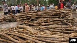 FILE - Cambodian villagers are pictured next to piles of timber in Koh Kong province, 300 kilometers southwest of Phnom Penh, in May 2012. The Cambodian government has long been battling the problem of illegal logging. 