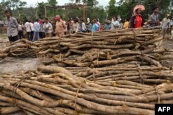 FILE - Cambodian villagers are pictured next to piles of timber in Koh Kong province, 300 kilometers southwest of Phnom Penh, in May 2012. The Cambodian government has long been battling the problem of illegal logging. Villagers in some areas have sought to take forest protection into their own hands.