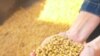 A UN expert says food prices remain high in many developing countries.