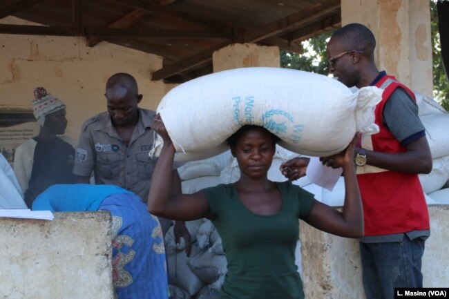 Flood survivors receiving donation of maize from world Food program in flood hit Chikwawa distrcit, Malawi.