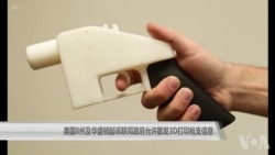 美国8州及华盛顿起诉联邦政府允许散发3D打印枪支信息
