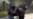 Militant Attack on Pakistan University Kills 9