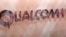 高通公司在美国一次电子消费品展览里展示的标徽