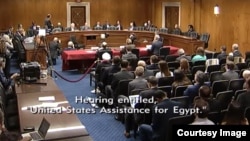 A screengrab from a live stream of a bipartisan panel of experts on Egypt-U.S. relations, April 26, 2017.