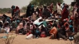 US declaring genocide in Darfur seen as 'victory' in Sudan