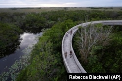 Visitors walk down a ramp after climbing Shark Valley observation point in Everglades National Park, Fla., Wednesday, Nov. 20, 2024.