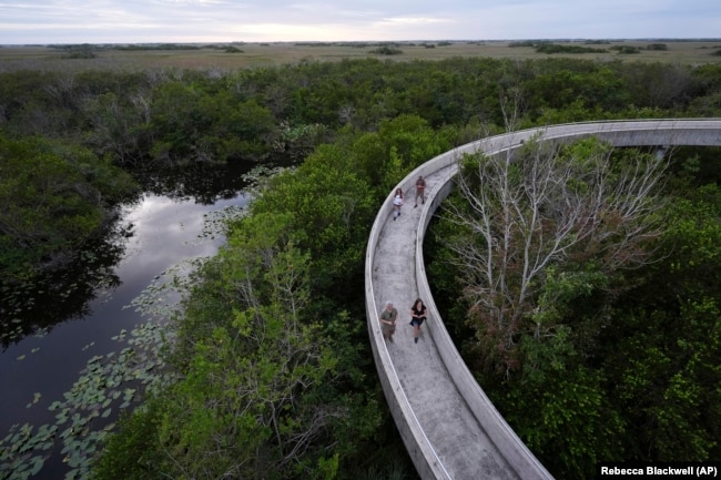 Visitors walk down a ramp after climbing Shark Valley observation point in Everglades National Park, Fla., Wednesday, Nov. 20, 2024.