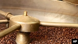 Processamento do café