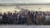 سوریه از آوارگی ۶۰ هزار کرد در پی پیشروی داعش خبر داد