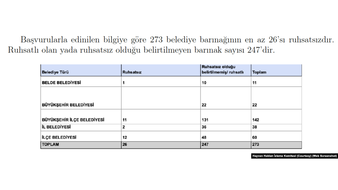 2025 Türkiye Geneli Belediye Hayvan Barınakları Raporu, 1111 belediyeden sadece 273’ünde hayvan barınağı bulunduğunu ortaya koydu.