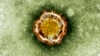 ВОЗ: новый коронавирус передается от человека к человеку