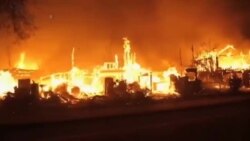ادامه آتش سوزی جنگلی گسترده در کالیفرنیا