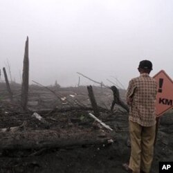 A tourist takes in the destruction wrought by weeks of violent eruptions, in Kaliurang in Central Java, 11 Jan 2011.