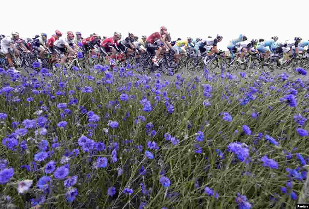 Para pebalap sepeda saat berlomba pada etape ke-6 Tour de France dari kota Arras ke Reims.