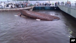 O batelão "Cucua" naufragado no porto de Quelimane