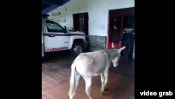 Los bomberos estatales Ricardo Prieto y Carlos Varón fueron detenidos el jueves funcionarios de la Dirección General de Contrainteligencia Militar (Dgcim)