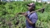 Farmers in Africa say their soil is dying and chemical fertilizers are in part to blame