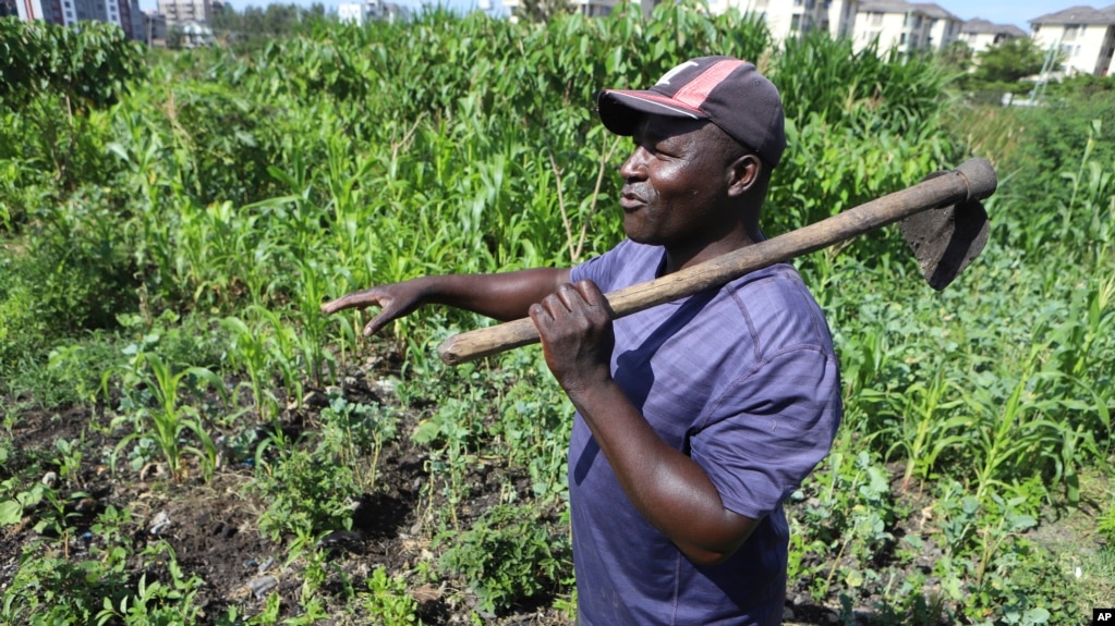 Benson Wanjala talks about the health of his soil at his farm in Machakos, Kenya, May 21, 2024.