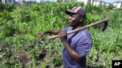 Benson Wanjala talks about the health of his soil at his farm in Machakos, Kenya, May 21, 2024.