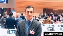 Şahin Xiyavlı