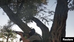 叙利亚自由军成员守在大马士革的树木旁
