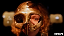 FILE - A girl looks through the replica of a Neanderthal skull displayed at the Neanderthal Museum in Krapina, Croatia.