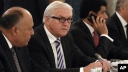 L'Allemand Frank-Walter Steinmeier à Vienne, le 14 novembre 2015. 