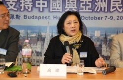 资料照：高瑜2012年10月在布达佩斯全球支持中国和亚洲民主化论坛大会上演讲