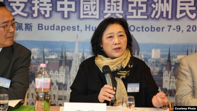 高瑜2012年10月在布达佩斯全球支持中国和亚洲民主化论坛大会上演讲（资料照片）