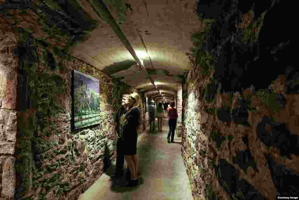 The tunnel of Biltmore Winery.