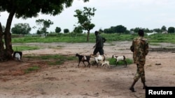FILE - A soldier from Sudan People's Liberation Army-In Opposition (SPLA-IO) walks goats in Leer, Unity State.