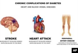 CHRONIC COMPLICATIONS OF DIABETES. HEART AND BLOOD VESSEL DISEAS
